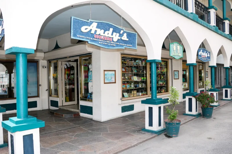 Front_View_Andys