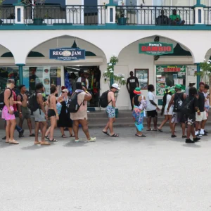 Shoppers_Walking_ThePlaza